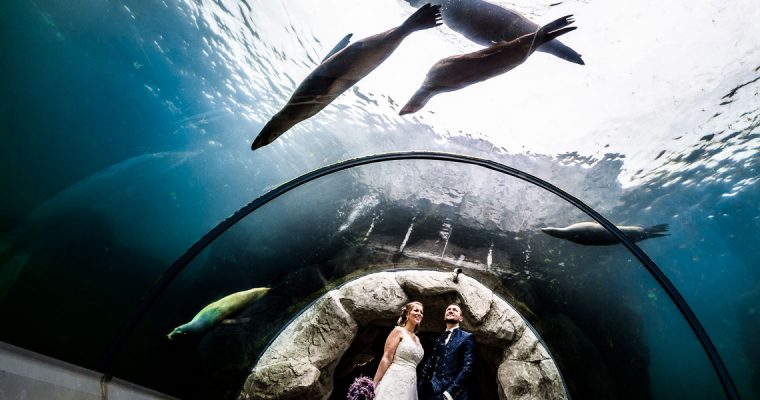 Hochzeit Ryokan Zoom Erlebniswelt: Exotisches Flair in Gelsenkirchen