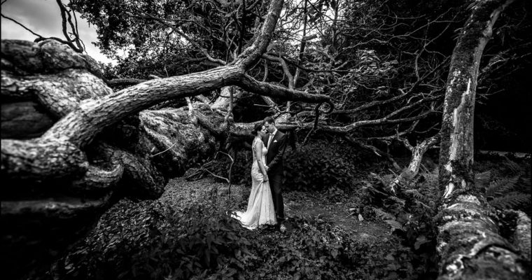 Hochzeit Barocksaal Schloss Herten | standesamtlich heiraten