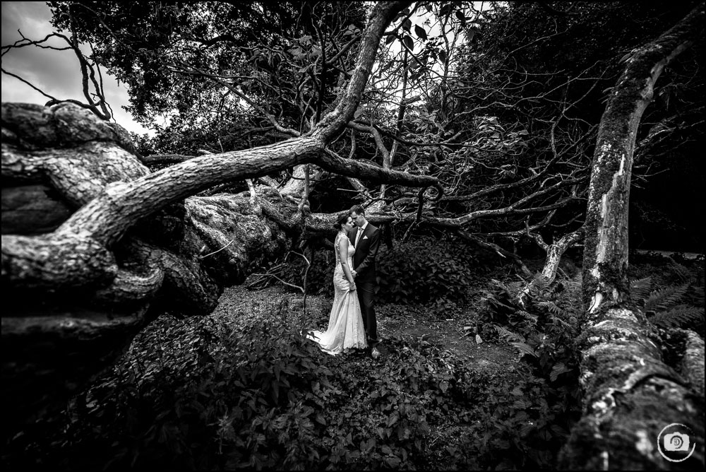 Hochzeit Barocksaal Schloss Herten